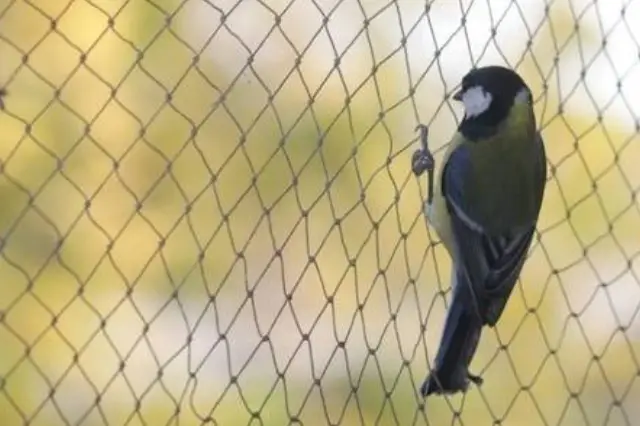 bird protection net dealers in Chennai