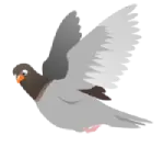 pigeon nets dealers pigeon nets dealers in Chennai